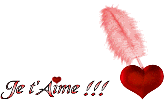 Je t'aime  14